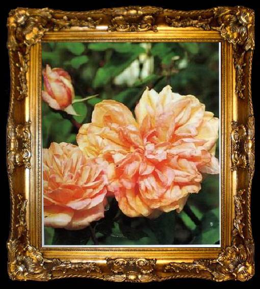 framed  unknow artist Still life floral, all kinds of reality flowers oil painting  319, ta009-2